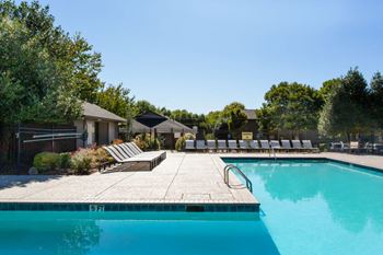Beautiful swimming pool